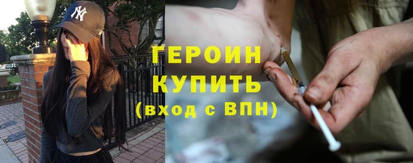 сатива Новодвинск