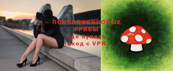 марки lsd Новозыбков