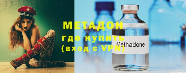 сатива Новодвинск
