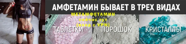 сатива Новодвинск