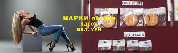 сатива Новодвинск