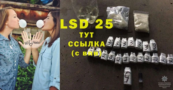 сатива Новодвинск