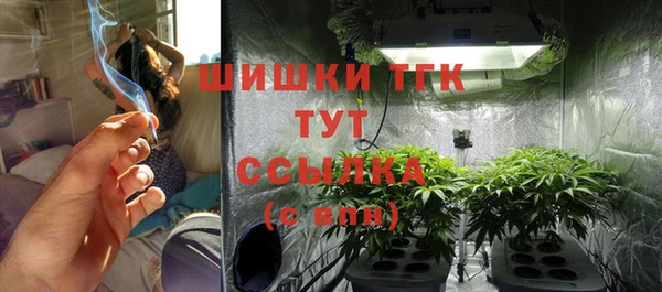 молекула духа Новокубанск