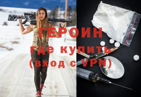 сатива Новодвинск