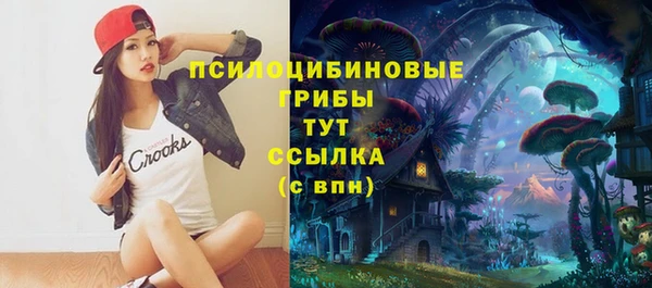 2c-b Белая Холуница