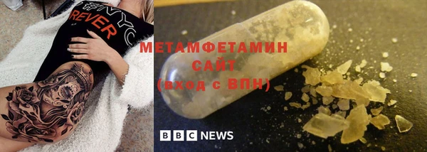 сатива Новодвинск