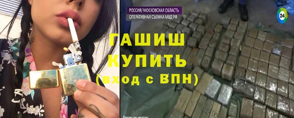 сатива Новодвинск