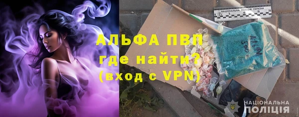 сатива Новодвинск