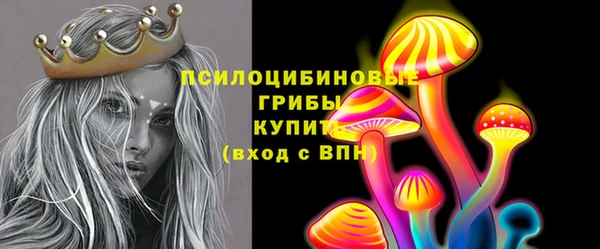 молекула духа Новокубанск