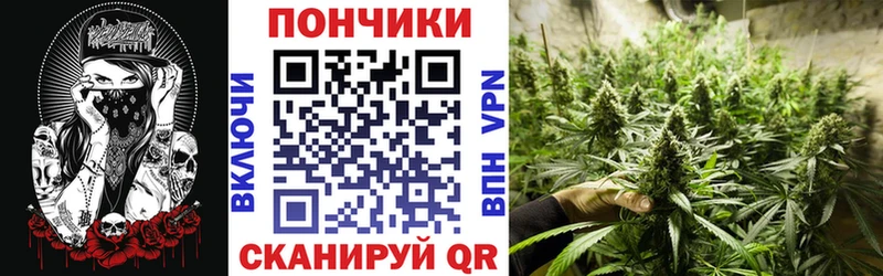 маркетплейс клад  Тайга  кракен как войти  Канабис планчик  наркота 